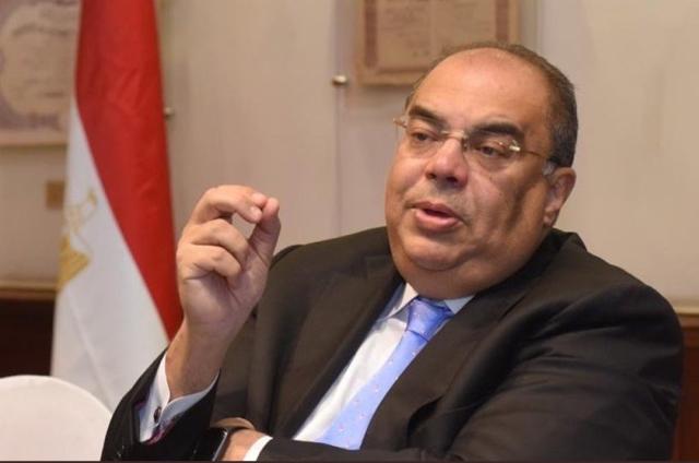 الدكتور محمود محى الدين مدير صندوق النقد الدولي