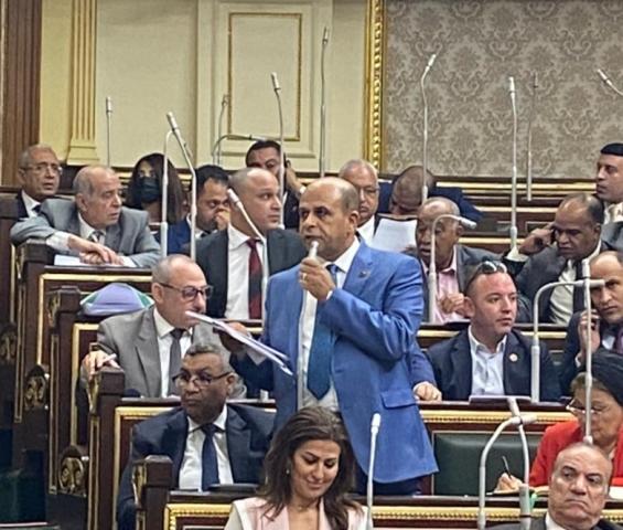 النائب نشأت فؤاد عباس