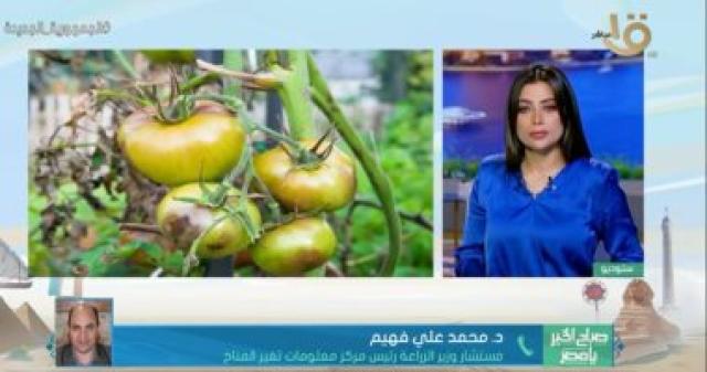 مداخلة مستشار وزير الزراعة