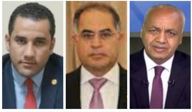 النواب مصطفى بكرى وسليمان وهدان وأحمد على