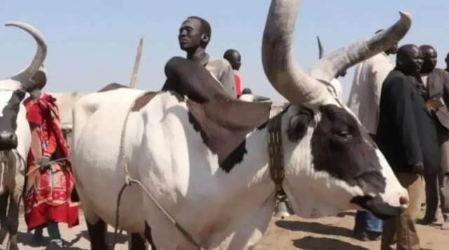 عادات الزواج في جنوب السودان