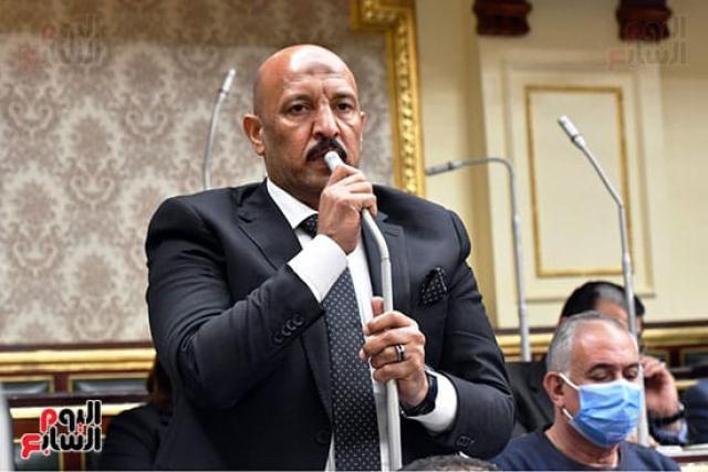 النائب أحمد الحديدي