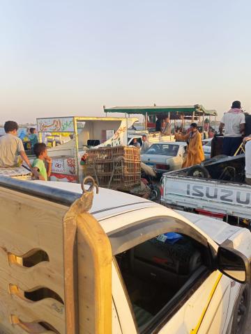 معدية النيل 