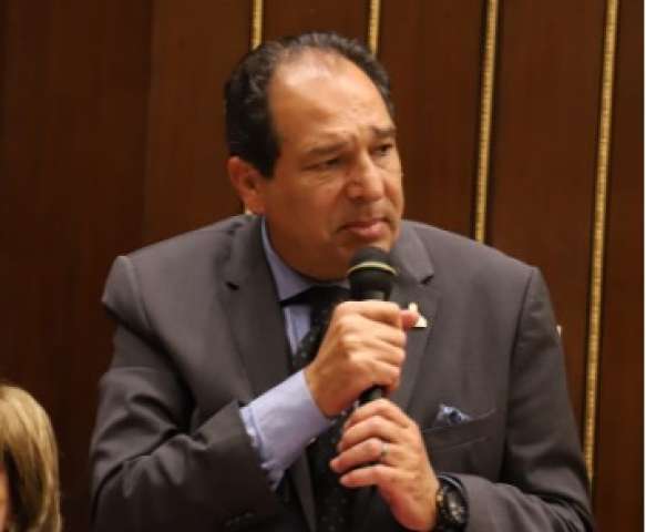 النائب حسام الخولي