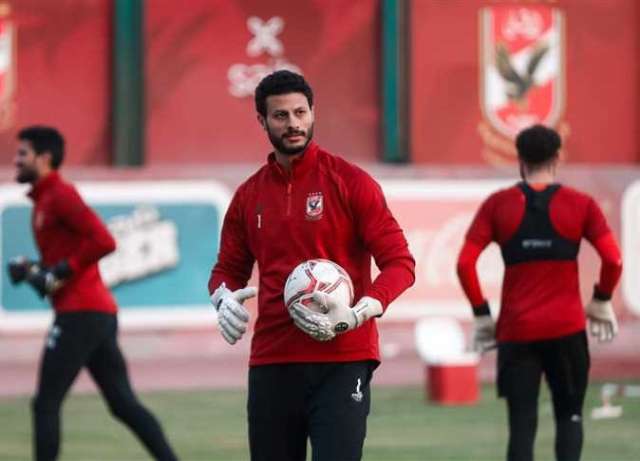 محمد الشناوي