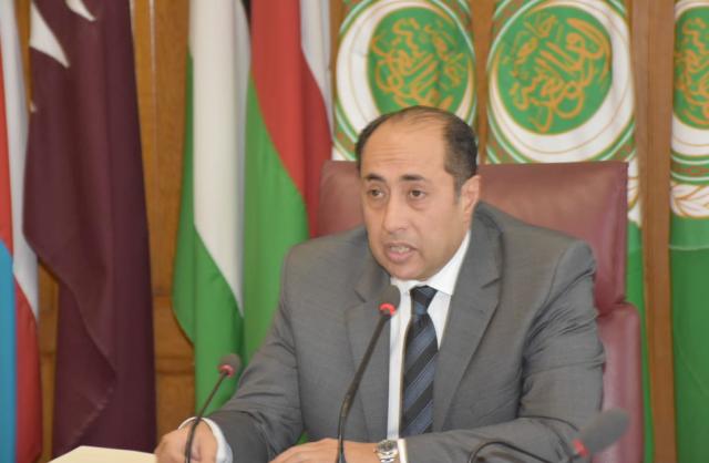 السفير حسام زكي الأمين العام المساعد لجامعة الدول العربية