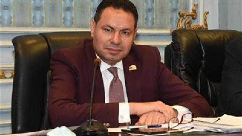 النائب هشام الحصري 
