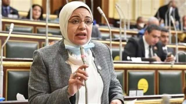 صورة النائبة ريهام عبد النبى