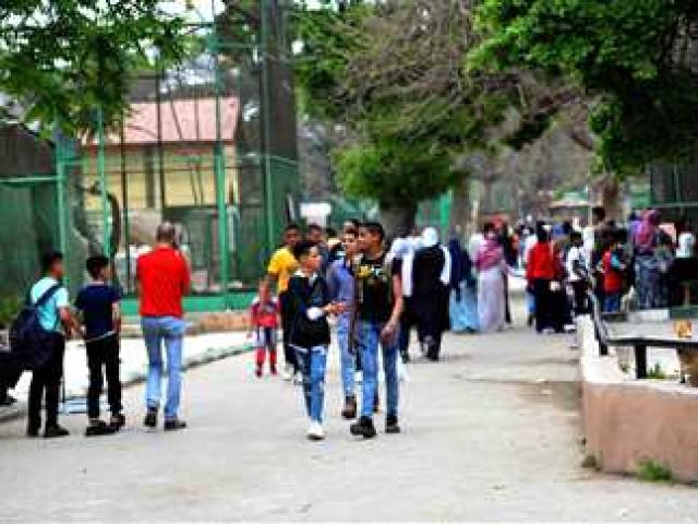 حدائق ومتنزهات 