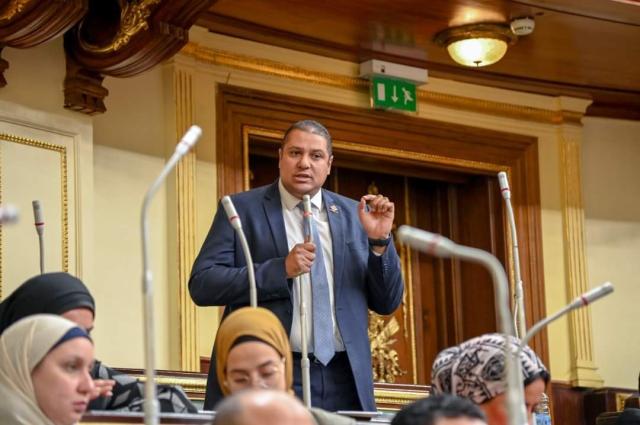 النائب محمد إسماعيل