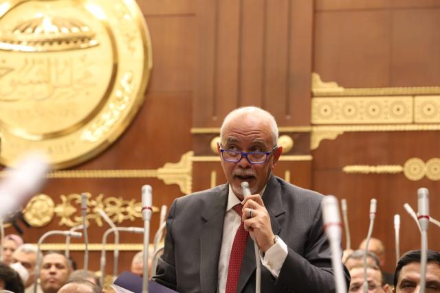 النائب المهندس حازم الجندي
