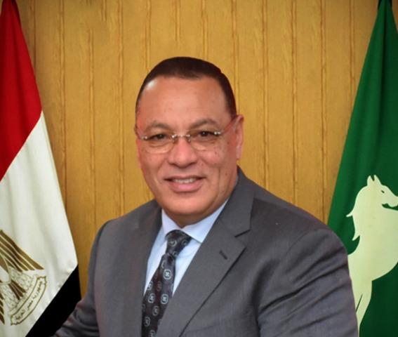 محافظ الشرقية  