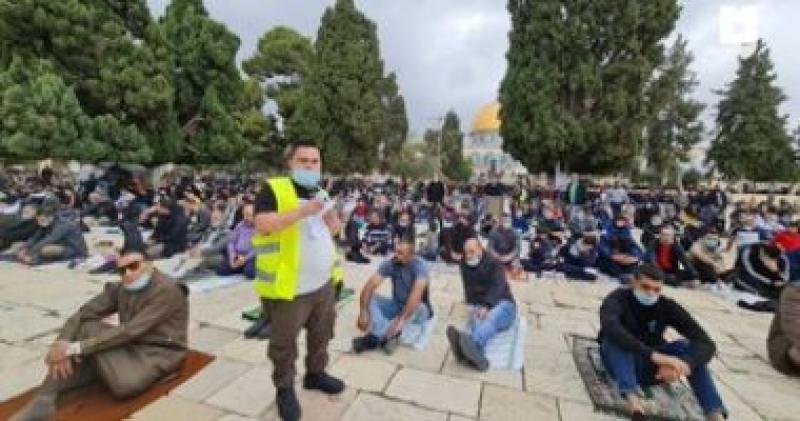 فلسطين 