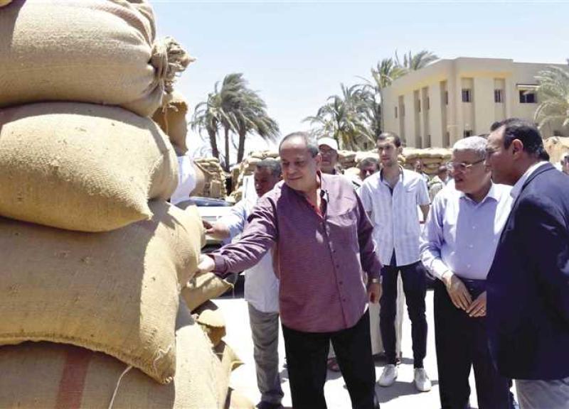 استلام 496415 ألف طن قمح بشون وصوامع المنيا