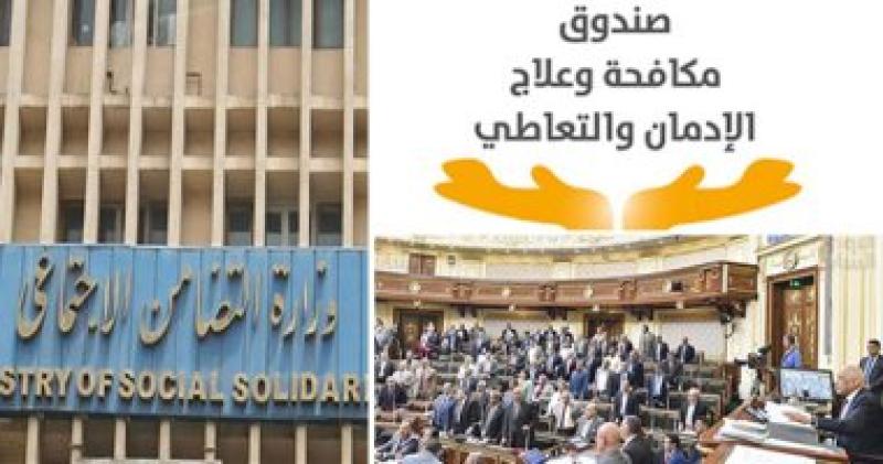 صندوق مكافحة وعلاج الإدمان 