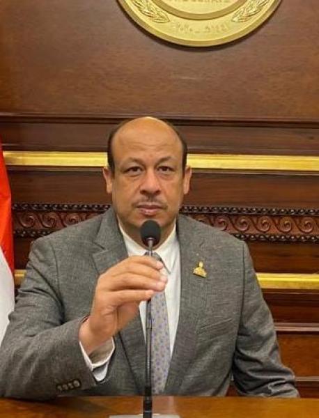 النائب سمير البيومي 