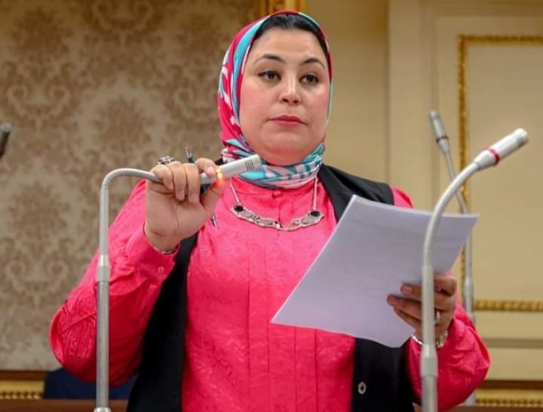 النائبة ولاء التمامى