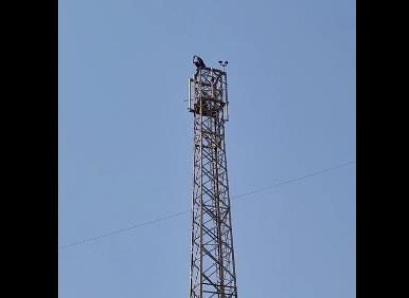 صورة ارشيفية
