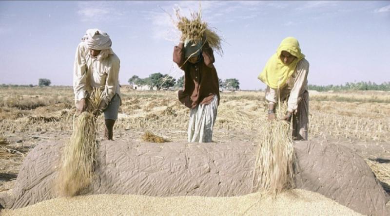 أزمة غذاء 