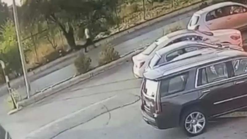 مشهد لحظة سرقة الممثلة اللبنانية نيكول طعمة