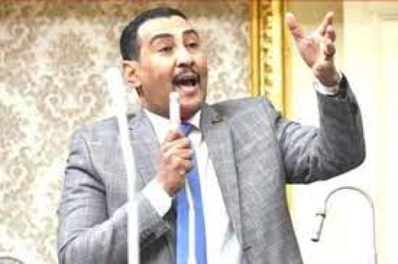 النائب محمد الجبلاوي