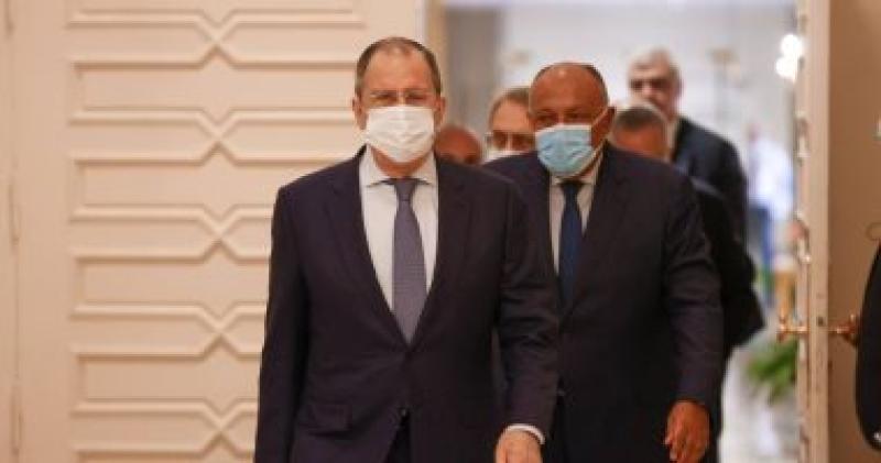 سامح شكرى وزير الخارجية