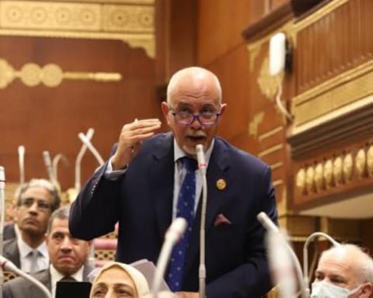 النائب حازم الجندى 