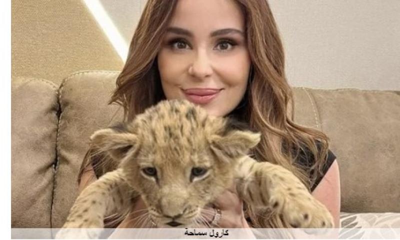 كارول سماحة