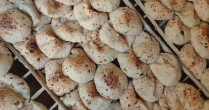 خبز- أرشيفية