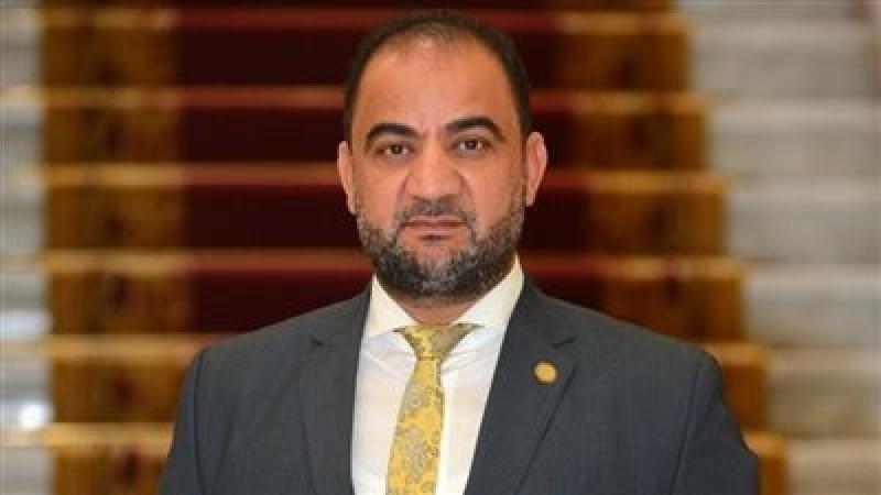 النائب حاتم عبد العزيز