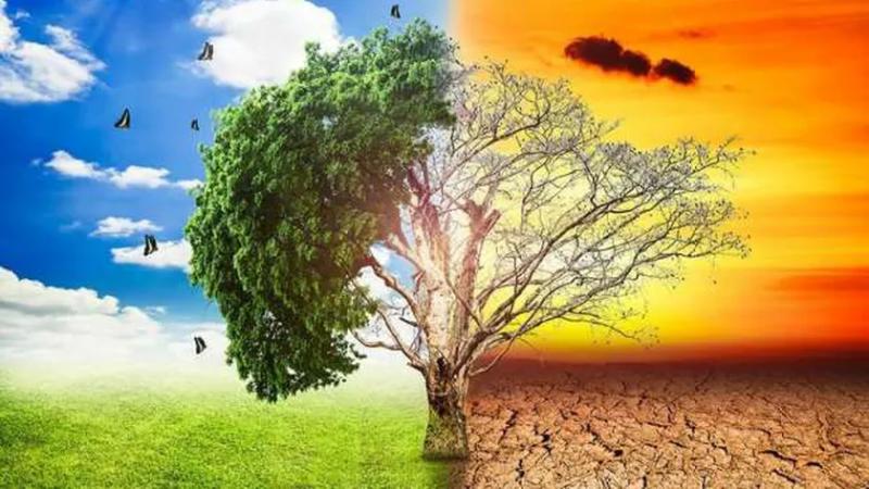 خطر التغيرات المناخية - أرشيفية