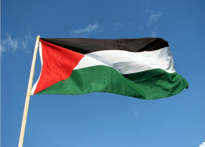 فلسطين 