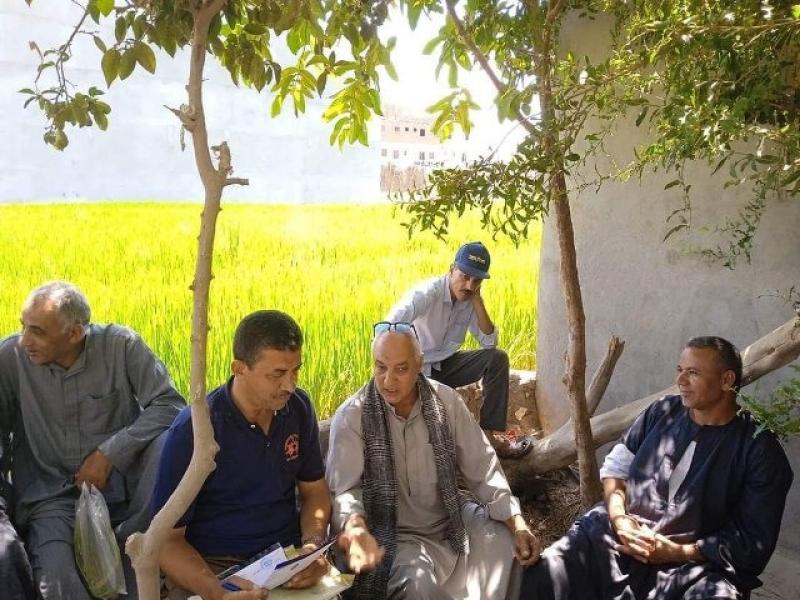 حقل ارشادى عن محصول الارز بابوحماد شرقية 