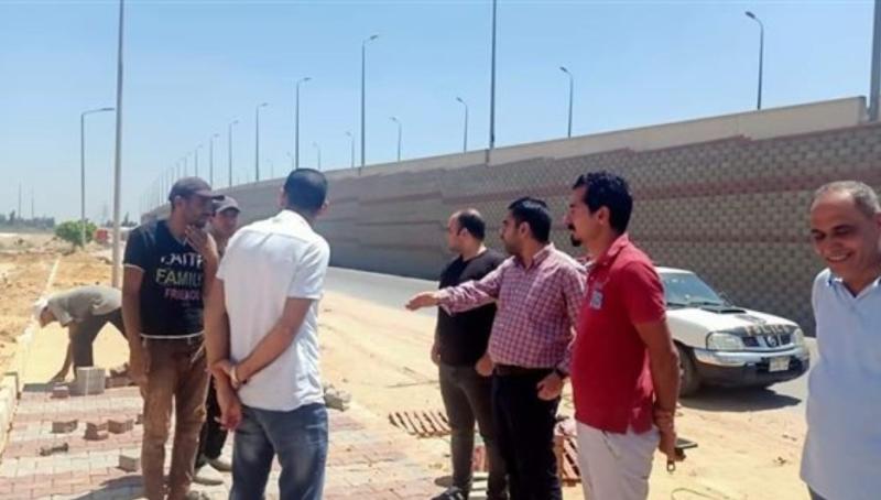 النوبارية الجديدة