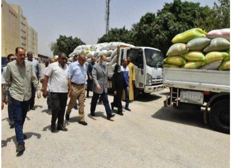 تهريب القمح المحلى 