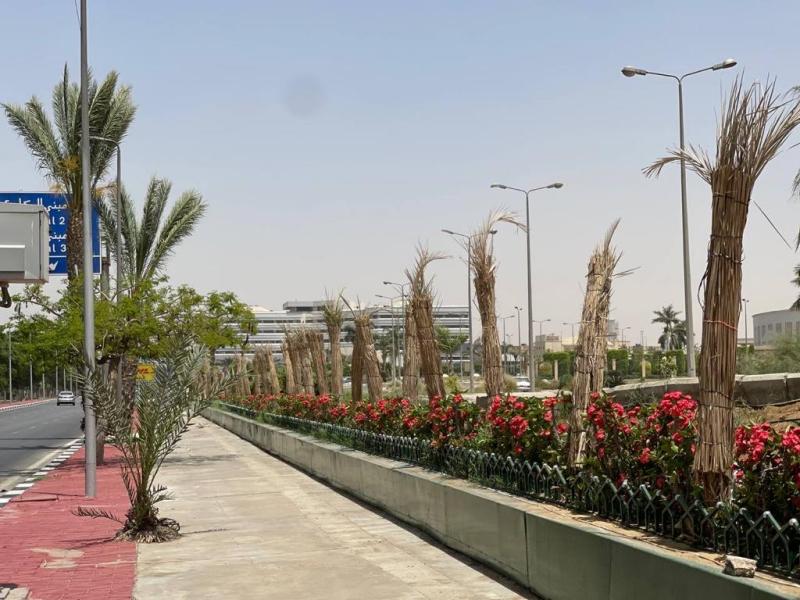 مطار القاهرة الدولى