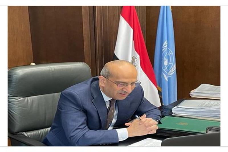 السفير أسامة عبد الخالق 