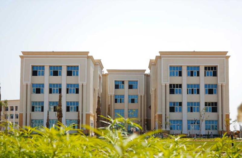 جامعة المنصورة الأهلية