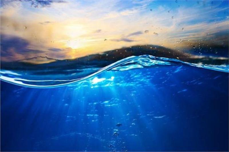صورة موضوعية