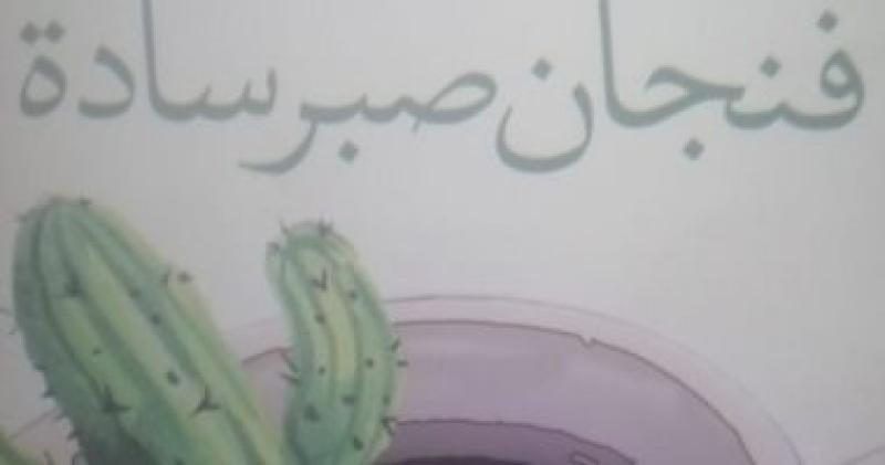 فنجان صبر سادة