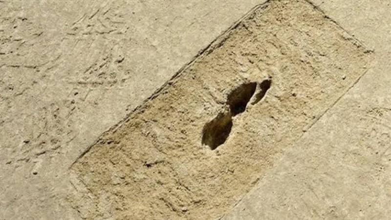 صوره ارشيفيه
