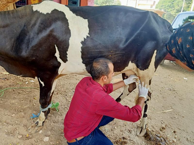   قوافل بيطرية علاجية