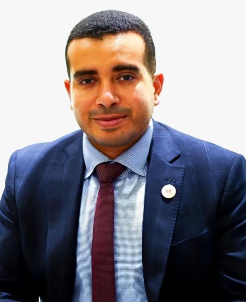 المهندس أمير أمين حسن 