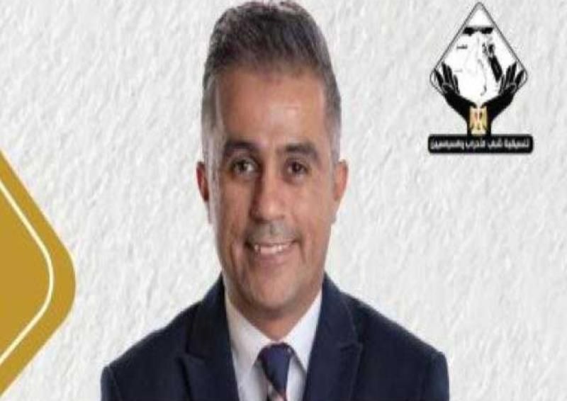 النائب أحمد فتحى 