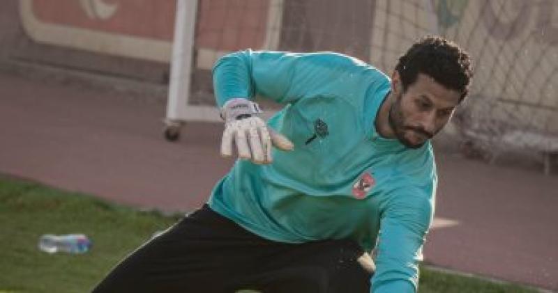 محمد الشناوى