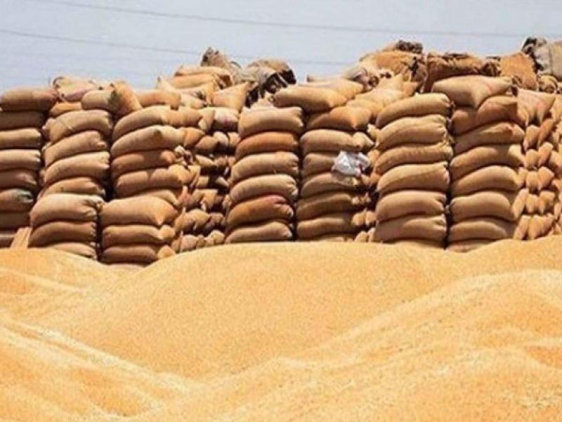 توريد القمح