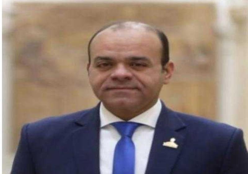 النائب عمرو القماطى 