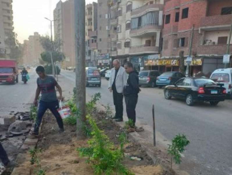 تشجير الشوارع بالقليوبية