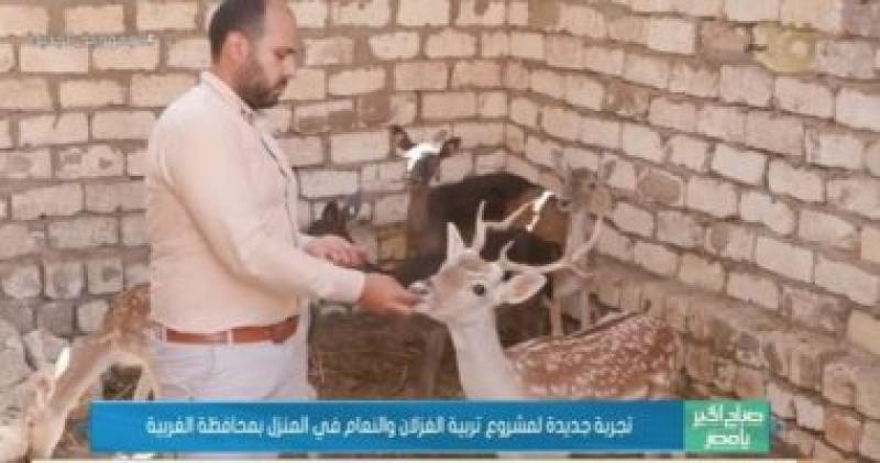  تربية الغزلان  