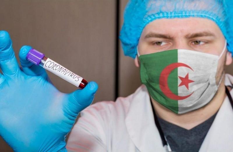 الجزائر 